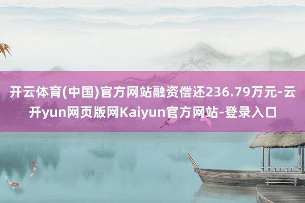 开云体育(中国)官方网站融资偿还236.79万元-云开yun网页版网Kaiyun官方网站-登录入口